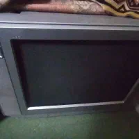 تلویزیون