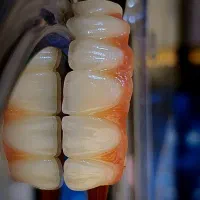 لابراتوار دندانسازی