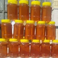 فروش عمده و تک فروشی عسل