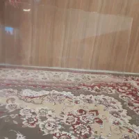 ضدضربه تلویزیون