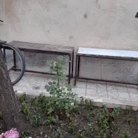 نیمکت و رگال