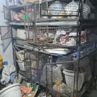 قفس حرفه ای نگهداری سگ مرغ و انواع پرنده ها