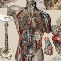 تدریس فیزیک کنکور و مشاوره کنکور|خدمات آموزشی|تبریز, |دیوار