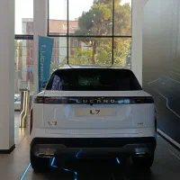 نمایندگی مرکزی لوکانو ۷۱۷ واقع در پاسداران|خودرو سواری و وانت|تهران, دروس|دیوار