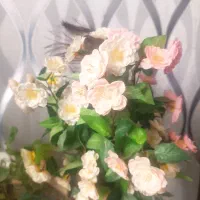 گل گلدان مصنوعی|گل مصنوعی|اراک, |دیوار