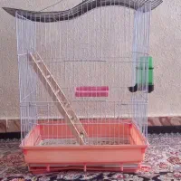 قفس عروس هلندی نو بزرگ|لوازم جانبی حیوانات|کرمان, |دیوار