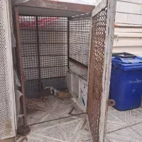قفس کبوتر و غیره...