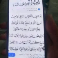 گوشی شیامی|موبایل|یاسوج, |دیوار