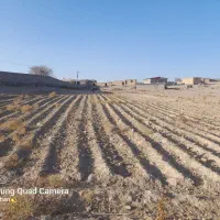 زمین در روستای کاظم آباد|فروش زمین و ملک کلنگی|بافت, |دیوار