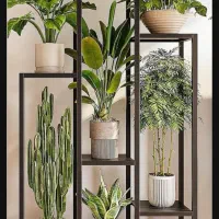 تولید رگال|فروشگاه و مغازه|ایوانکی, |دیوار