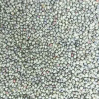 ونوشک نرمه سبز یکدست و پاک شده برداشت امروز