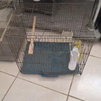 قفس پرنده و لوازم قفس