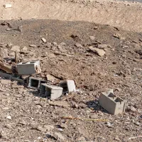 کود حیوانی میش