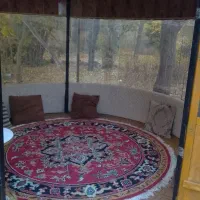 فروش آلاچیق ها ومیزگردها|فروشگاه و مغازه|سرعین, |دیوار