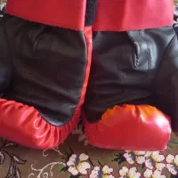 دستکش بوکس|تجهیزات ورزشی|قرچک, مهدیه|دیوار