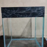 آکواریم و وسایل جانبی آکواریم