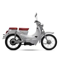 موتور برقی ۱۹۵۸کویر