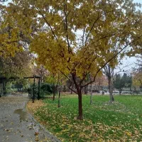 اپراتور فنی و فنی بسته بندی