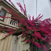 اجاره ویلا شهری  دربست ۴خواب تریبلکس ۲۰۰متر
