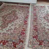 فرش دستباف|فرش|بناب, |دیوار