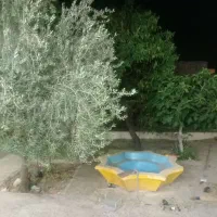 فروش-منزل-آهن-و-آجر-210-متری-منتظری-جنوبی