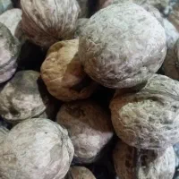 فروش گردوی خشک ارگانیک محلی