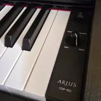 پیانو یاماها ydp 103|پیانو، کیبورد، آکاردئون|تهران, پردیسان|دیوار
