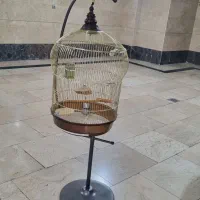 قفس پرنده