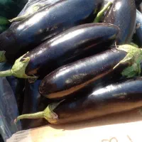 میوه گوجه انگور بادمجان انار پیاز گلابی|فروشگاه و مغازه|دزفول, |دیوار