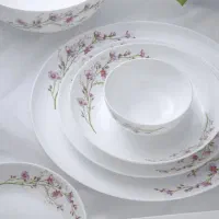 سرویس آرکوپال گلدن اپال