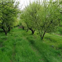 باغ با امکانات در منطقه زیبای سربست، هماشهر