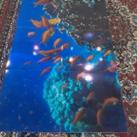 تصویر پلاستیکی ماهی|ماهی|اهواز, کوی مندلی(سه راه خرمشهر)|دیوار