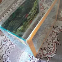 آکواریوم|ماهی|کوهدشت, |دیوار