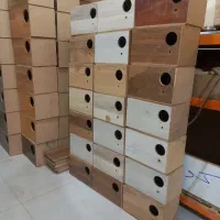 پخش عمده لونه عروس هلندی و برزیلی مرغ عشق