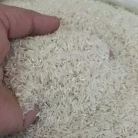 انواع برنج ایرانی فجرسوزنی لاشه سرلاشه طارم|خوردنی و آشامیدنی|شاهرود, |دیوار