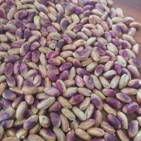 فروش عمده مغز پسته درجه یک و تازه|خوردنی و آشامیدنی|اصفهان, باغ دریاچه|دیوار