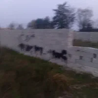 زمین باغی داخل فاز بهداشت شهری دور محصور|فروش زمین و ملک کلنگی|رضوانشهر, |دیوار