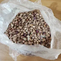 فروشنده لوبیا ابلقی