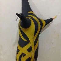 نی انبان