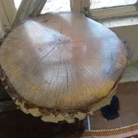 میز عسلی و جلو مبلی|مبلمان خانگی و میز عسلی|مشگین شهر, |دیوار