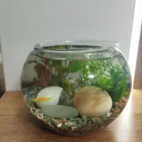 پلنتاریوم(تراریوم آبی) هدیه روز مادر|گل و گیاه طبیعی|قم, انسجام|دیوار