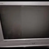 تلوزیون تلویزیون