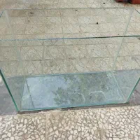 آکواریوم|ماهی|مبارکه, |دیوار