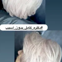 50 درصد آف لایت های به روز و ژورنالی|خدمات آرایشگری و زیبایی|تهران, شهرک غرب|دیوار