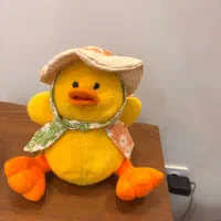 اردک صدا دار