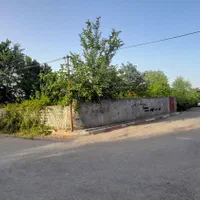 فروش ۲۹۳ متر زمین ویلایی ویرمونی|فروش زمین و ملک کلنگی|آستارا, |دیوار