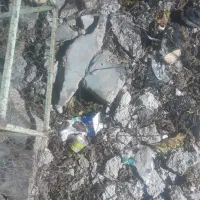 دنبال کارمیگردم