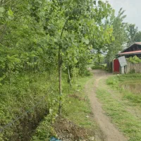کددم پر/۷۷۴مترزمین که کاربری۲۱۵مترش مسکونیه