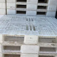 پالت پلاستیکی سفید و سبد مرغ سبد ثمین فروش فوری|ظروف نگهدارنده، پلاستیکی، یکبارمصرف|تهران, فتح|دیوار