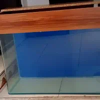 آکواریوم شیشه خم با تمامی امکانات